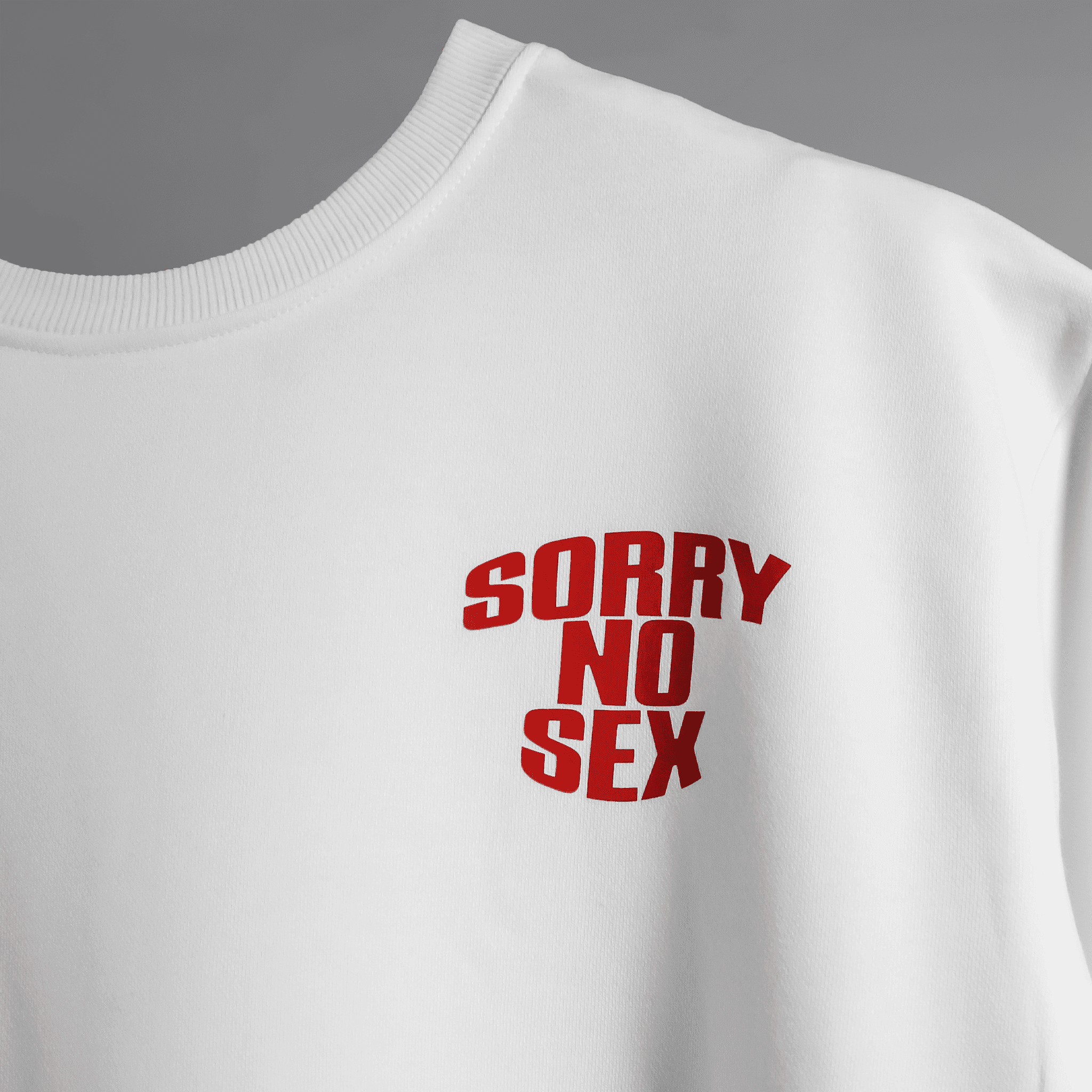 Fear Nothing " Lion white Blumun oversized (loose fit) drop shoulder t-shirt.