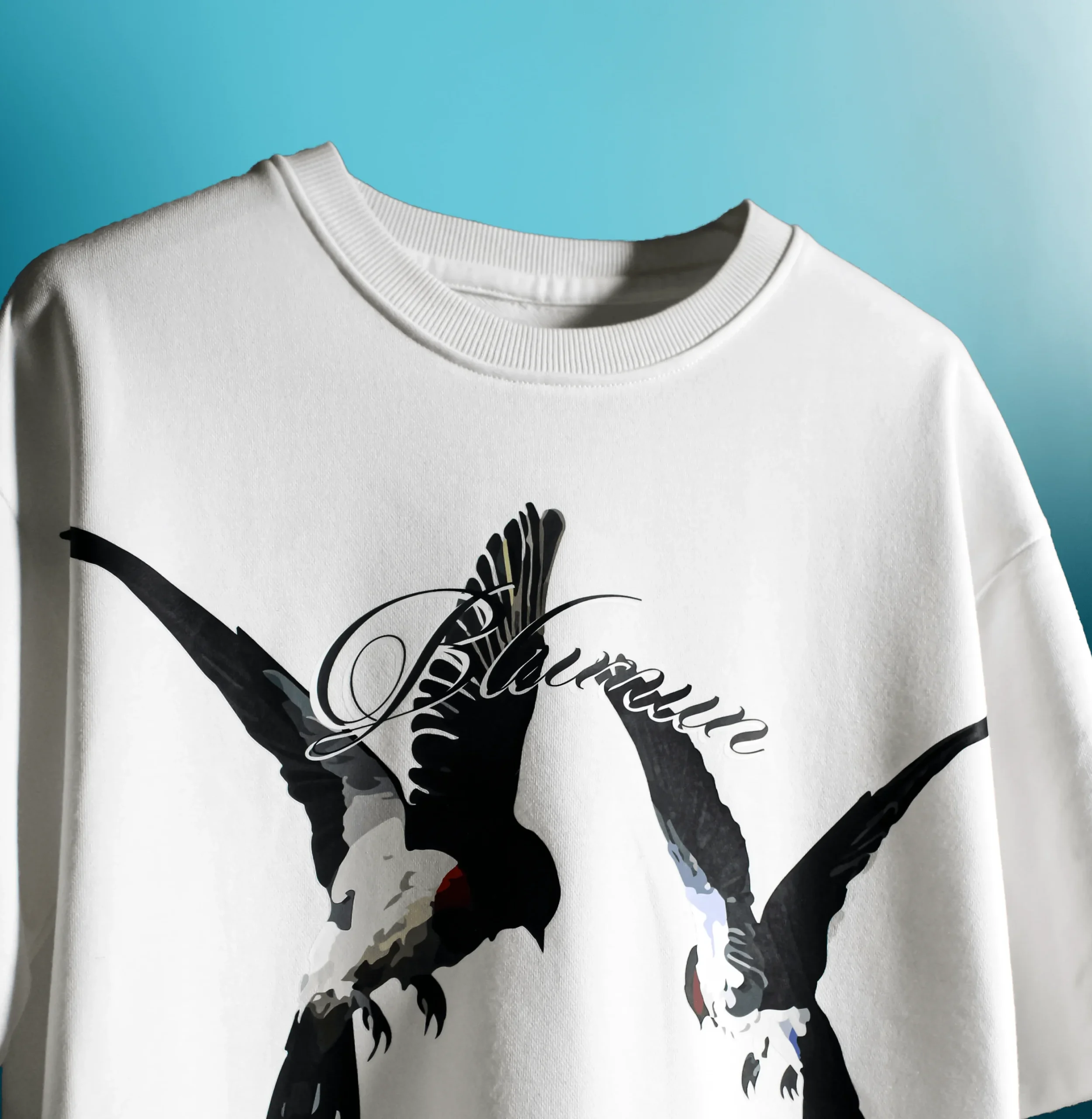 DREAMS FLIGHT OVERSIZED  T-SHIRT