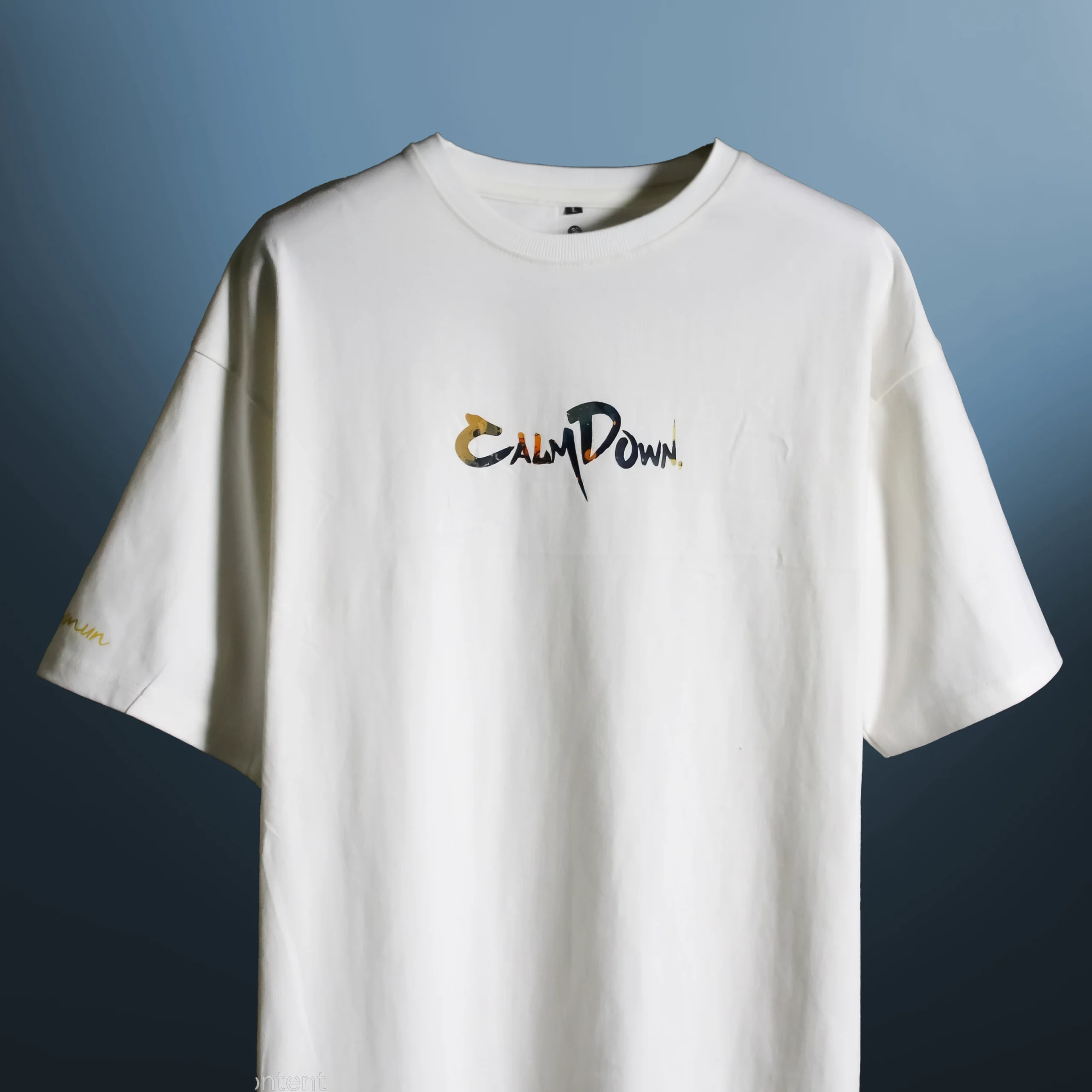 Calm Down Nobody Cares T‑Shirt styled streetwear front angle